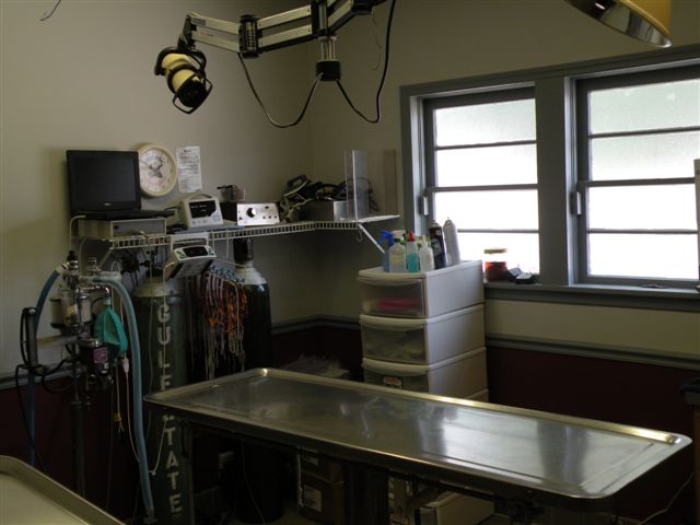 surgical suite surgical suite