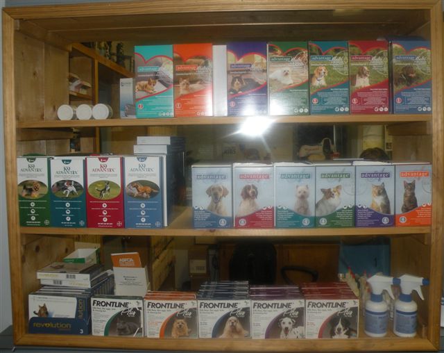 Flea Control Flea Control