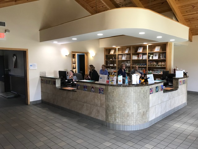 Our Reception Desk and Staff